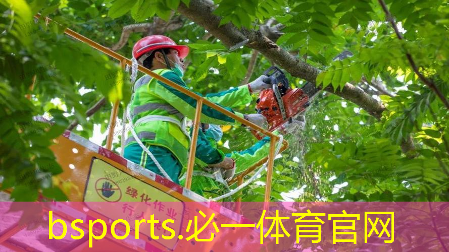 迪卡侬网球拍碳铝合金球拍