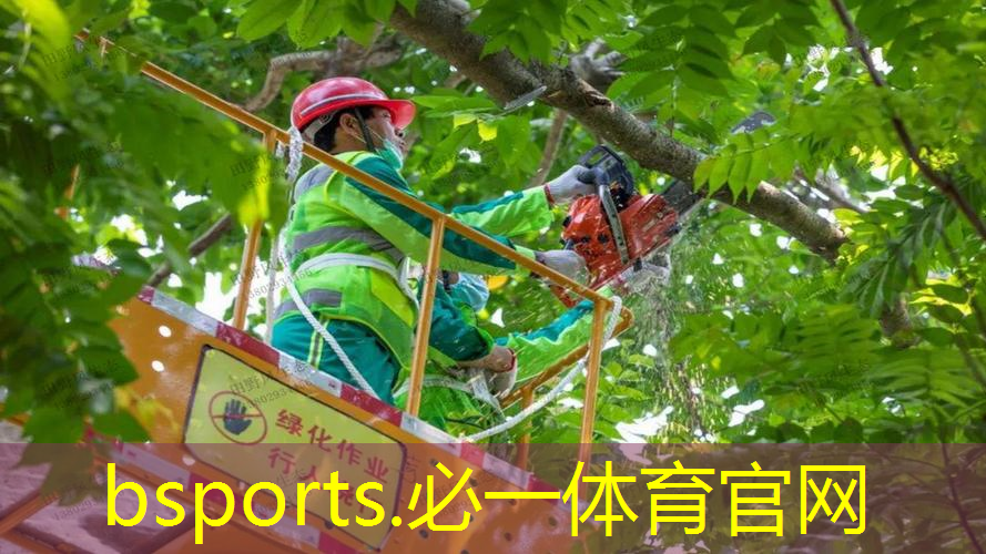 怎样用纸皮做网球拍