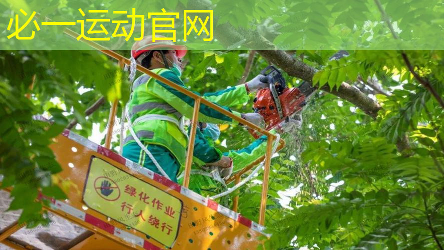 网球拍打了多长时间