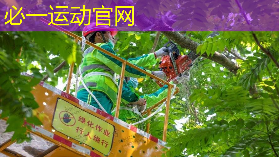 百动和克洛斯威网球拍