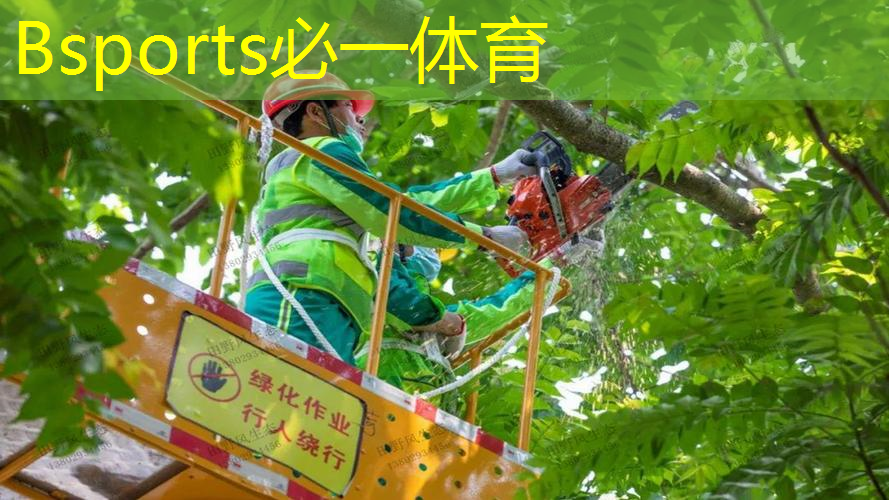2818款百宝力网球拍