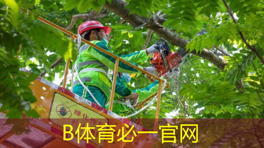网球拍底标更换教程