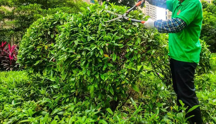 邓禄普和海德网球拍
