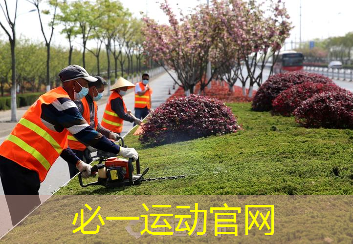 网球拍的演变过程图解