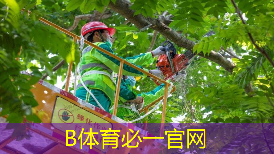 十全大补，塑胶跑道材料选择指南！