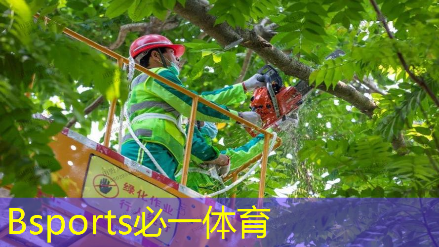 别样的家庭沟通方式：家庭篮球架室内挂墙让你感受亲情温暖！